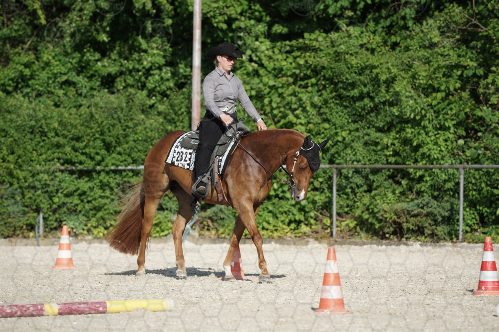 s_APF06959.jpg